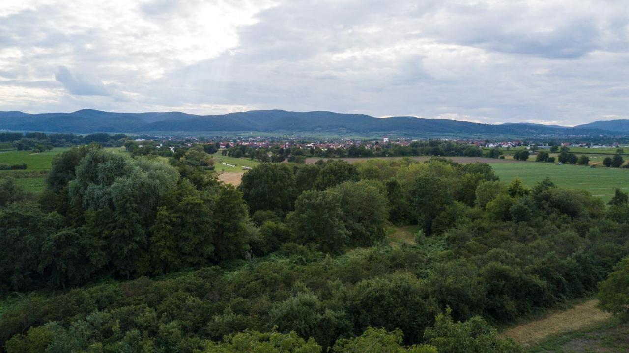 Ferienhaus Lenchen Niederkirchen bei Deidesheim Luaran gambar
